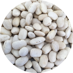 kologiske Bnner  hvide  medium   700 g   pose