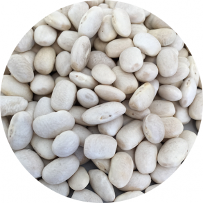 kologiske Bnner hvide medium 1,5 kg genlukpose