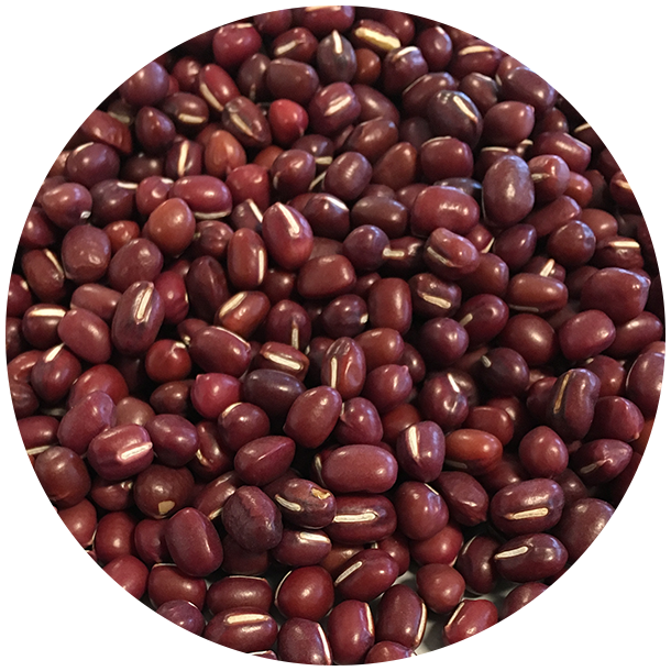 kologiske Adzukibnner  1,5 kg    genlukpose