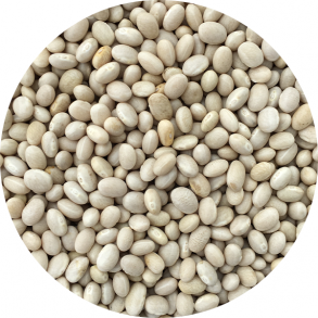 kologiske Bnner small  hvide 1,5 kg 