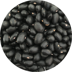 kologiske Kidney bnner  sorte   700 g pose