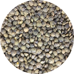 kologiske Hele canadiske "French style" delikatesse linser 700 g  pose