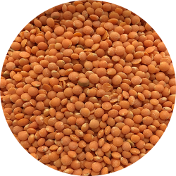 kologiske Rde fodbold linser 750 g   pose