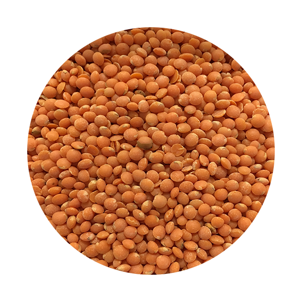 Fodbold linser 1,5 kg genlukpose