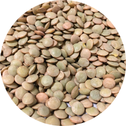 kologiske Hele grnne linser  700 g  pose