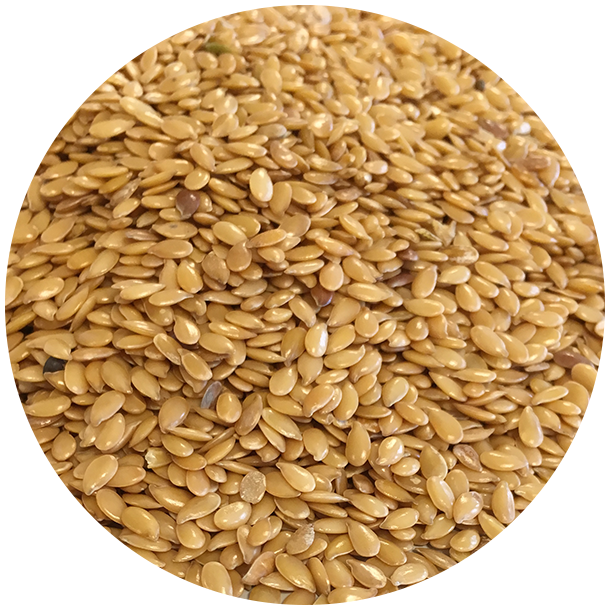 kologiske Hrfr  lyse 1,5 kg genlukpose