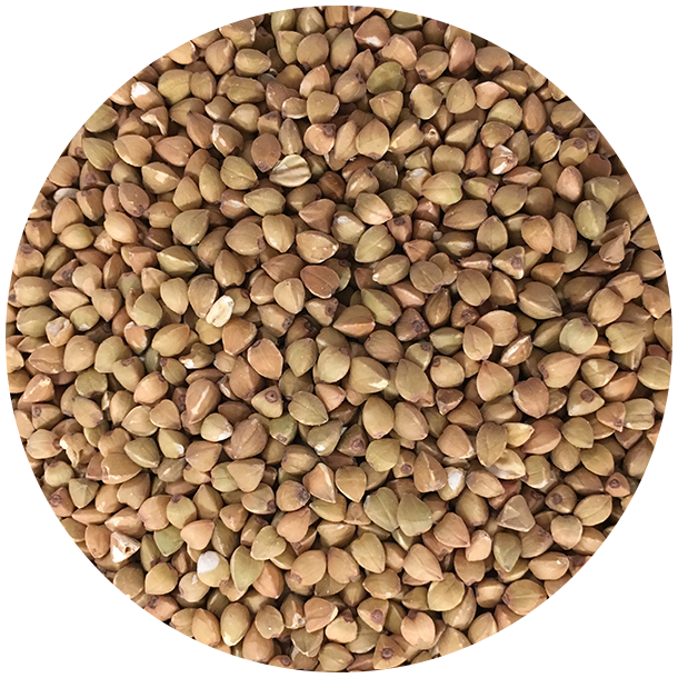 kologiske Kasha (ristet boghvede), afskallede hele &Oslash;kologiske Kasha (ristet boghvede), afskallede hele 1,5 kg  genlukpose
