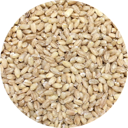 kologiske Perlebyg      700 g  pose