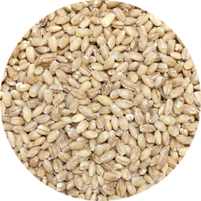 kologiske Perlebyg   1,5 kg  genlukpose