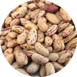 kologiske Borlotti pinto bnner   700 g   pose