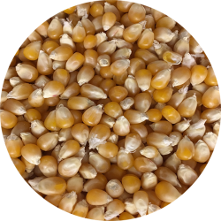 kologiske Popcorn   700 g    pose