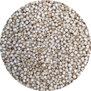 kologiske Quinoa, hvide 1,5 kg genlukpose