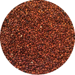 kologiske Quinoa, rde 700 g pose