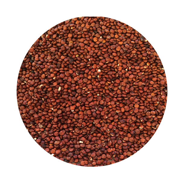 kologiske Quinoa, rde 1,5 kg genlukpose