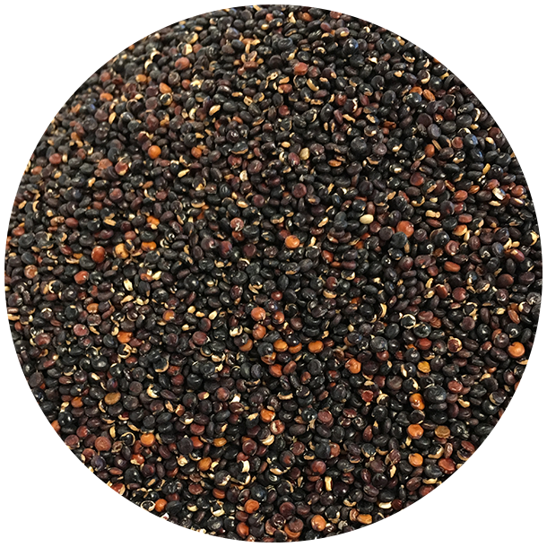 kologiske Quinoa, sorte 1,5 kg genlukpose