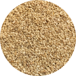 kologiske Sesamfr naturelle  600 g  pose