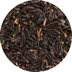 kologiske Sorte jasmin ris 700 g pose