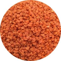 kologiske Rde split linser   700 g pose